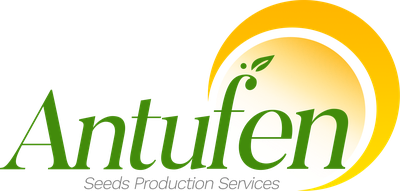 Antufen Seeds